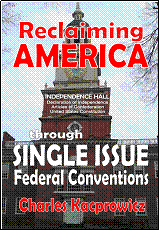 Reclaiming America through Single Issue Conventions .jpg